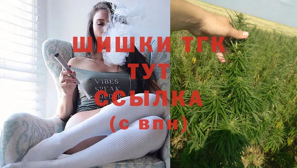 молекула духа Бронницы