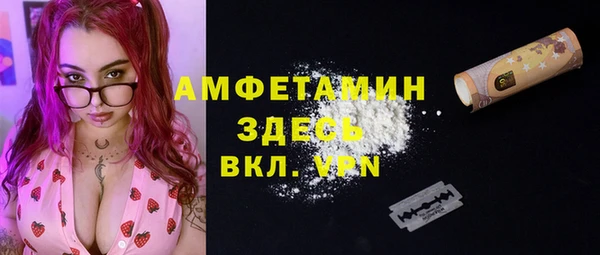 молекула духа Бронницы