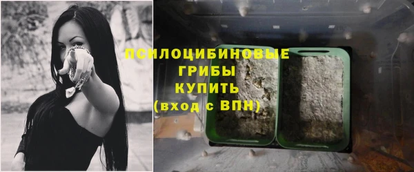 молекула духа Бронницы