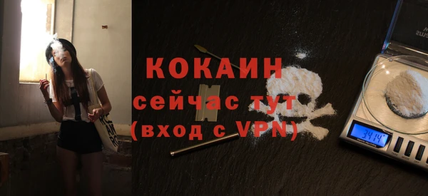 apvp Бородино