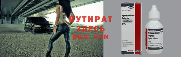 apvp Бородино