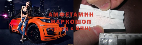 apvp Бородино