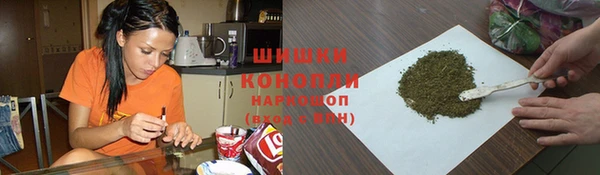 молекула духа Бронницы