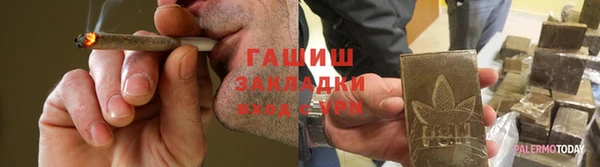 apvp Бородино