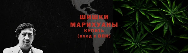 apvp Бородино