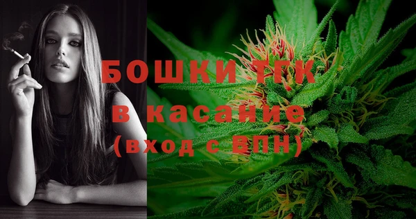 apvp Бородино