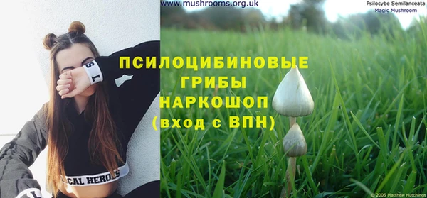 apvp Бородино