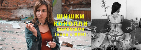 молекула духа Бронницы