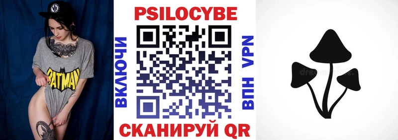 ОМГ ОМГ зеркало  Новомичуринск  Галлюциногенные грибы Cubensis  купить закладку 